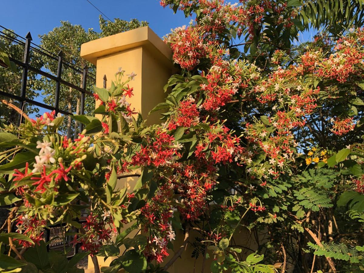 Strutz Art Garden Resort Bangued Eksteriør billede