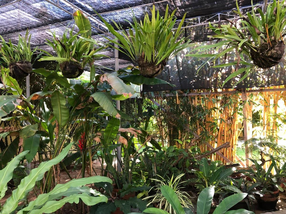 Strutz Art Garden Resort Bangued Eksteriør billede